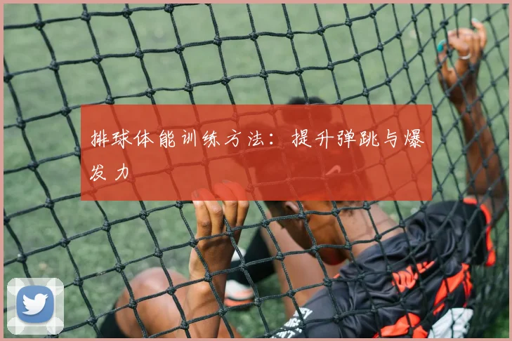 排球体能训练方法：提升弹跳与爆发力